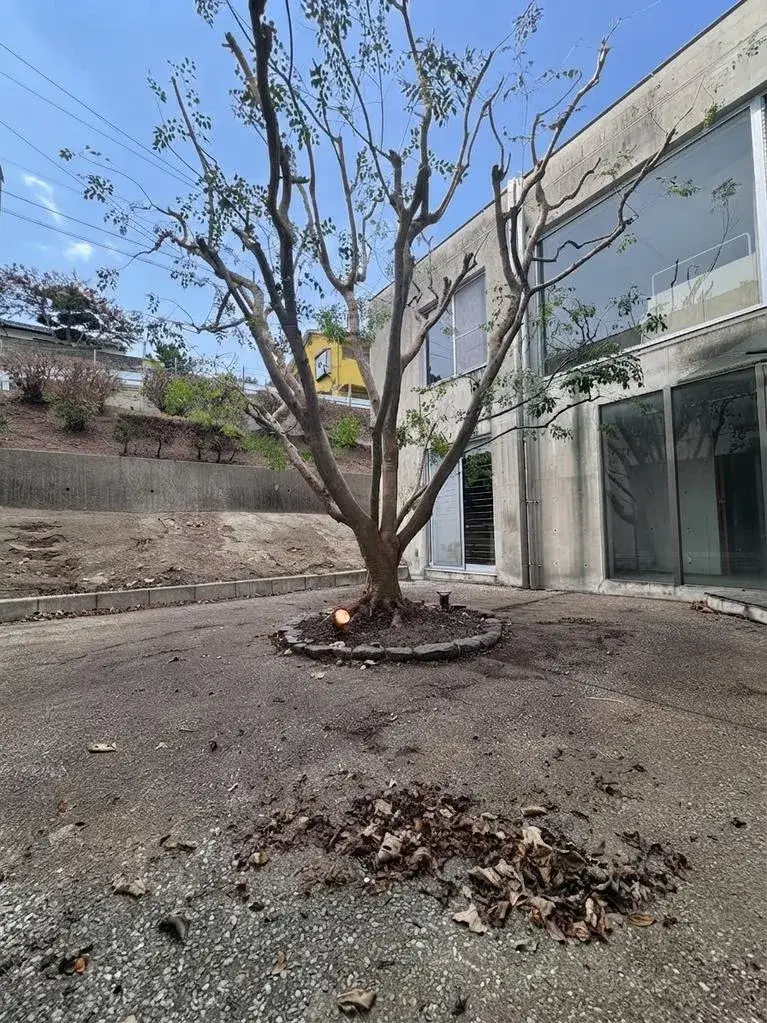 5LDK Property Fukuoka City Fukuoka Prefecture (3)