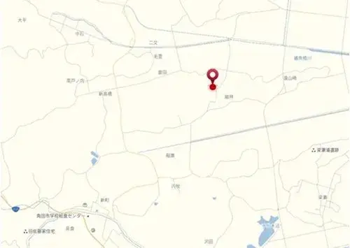 Plano