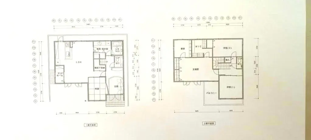 المخطط