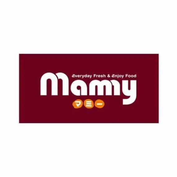 المخطط