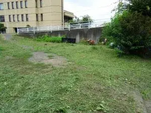 Slide 0