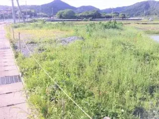 Slide 0
