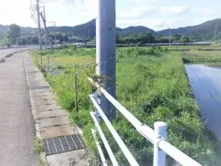 Slide 3
