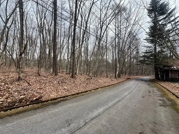 Slide 0