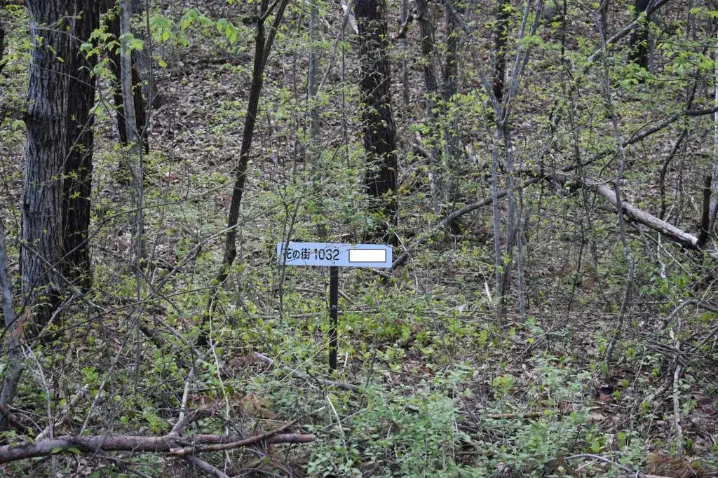 Slide 0
