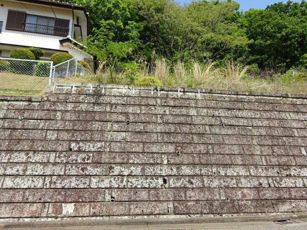 Slide 7
