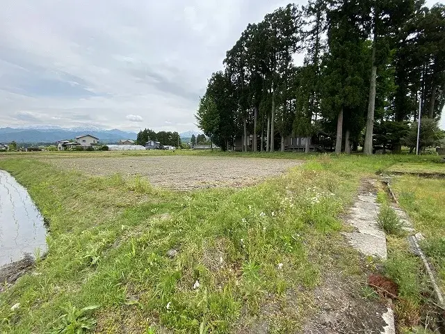 Slide 5