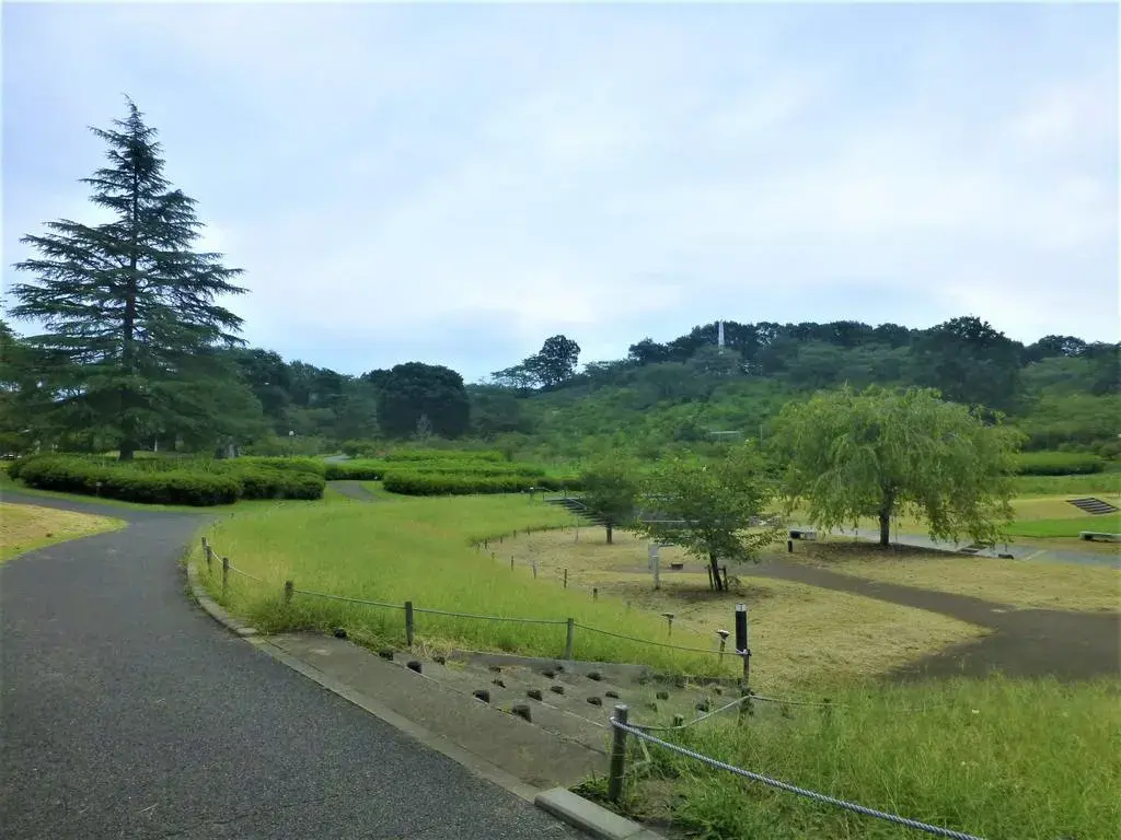 Slide 3