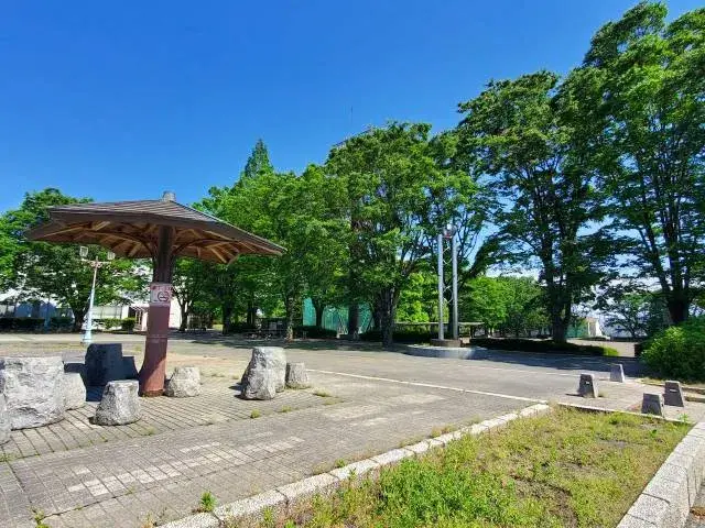 Slide 9