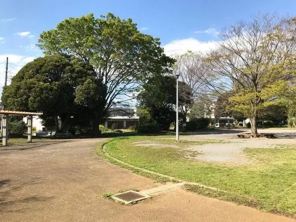 Slide 6