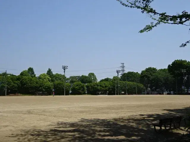 Slide 24