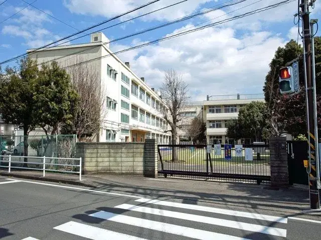 Slide 7