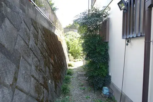 Slide 3