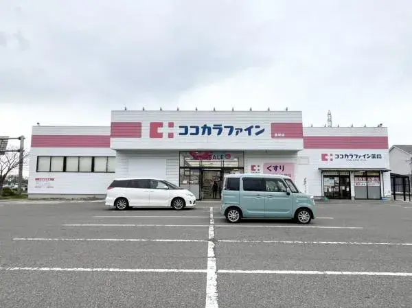 Slide 8