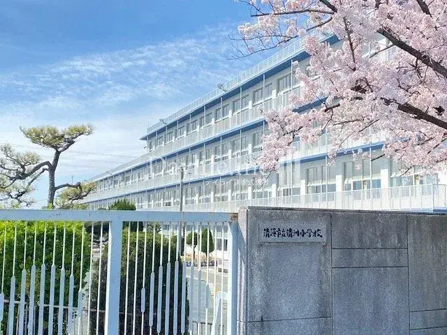 Slide 5