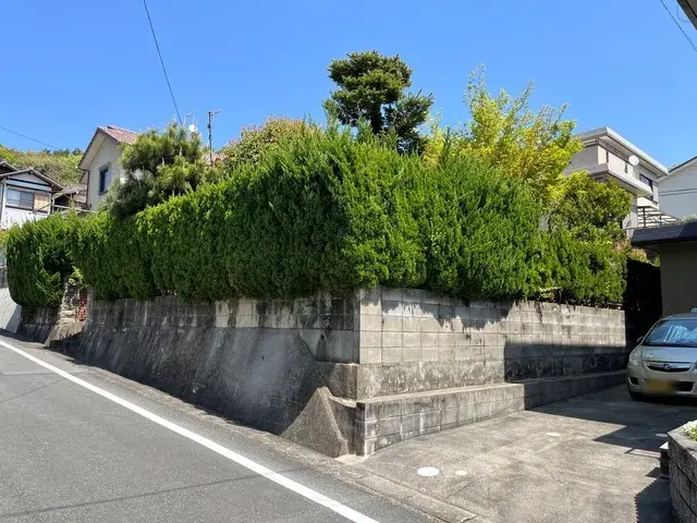 Slide 3