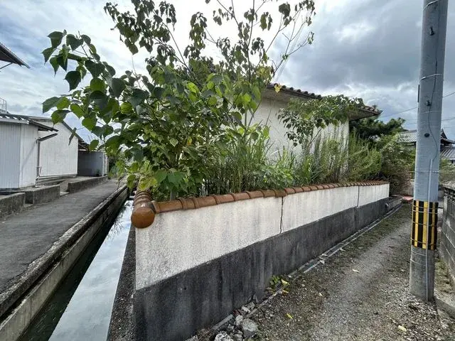 Slide 1