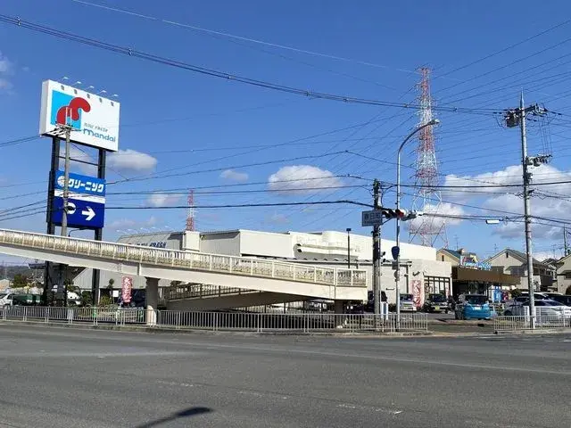 Slide 8