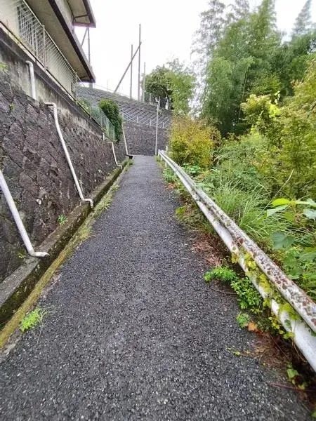 Slide 7