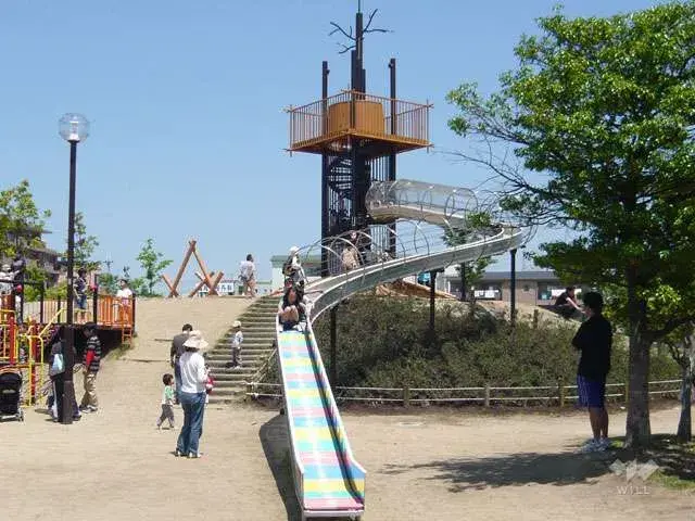 Slide 7