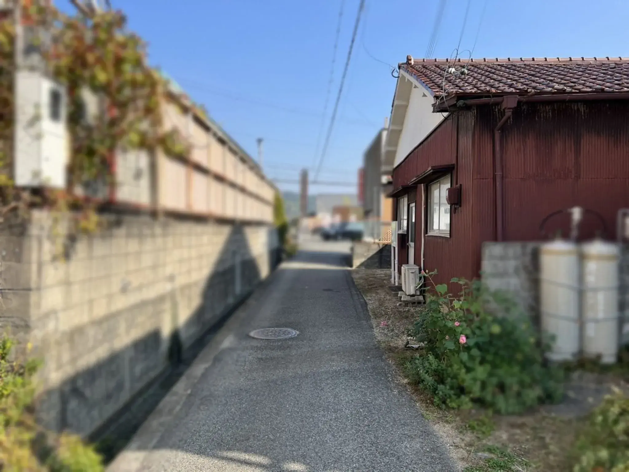 Slide 4