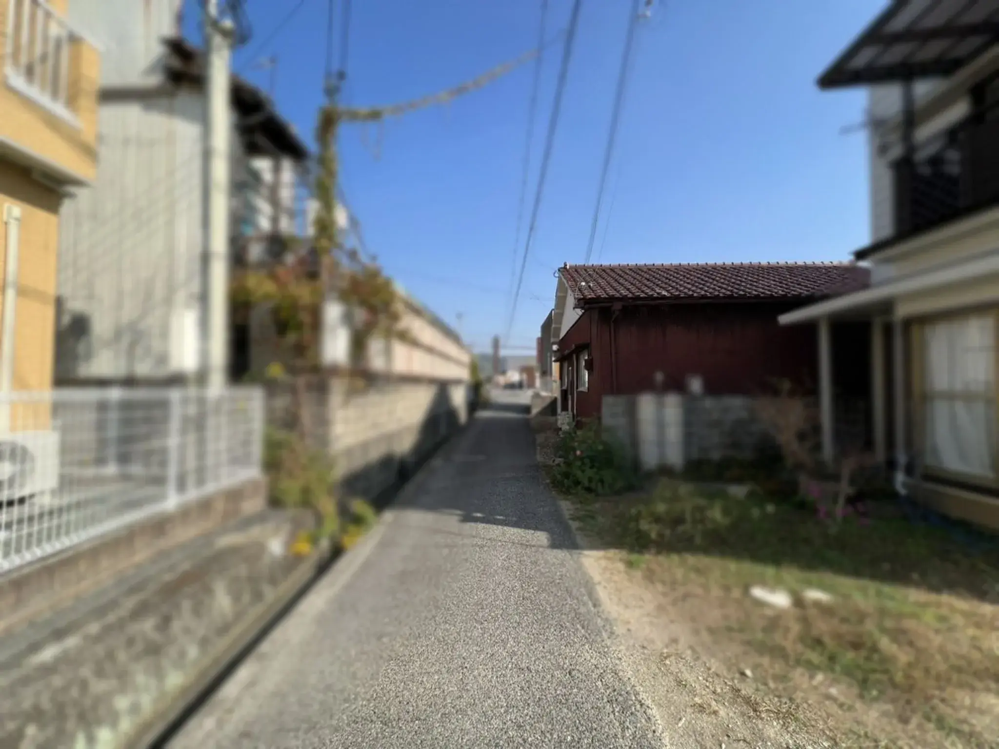 Slide 5