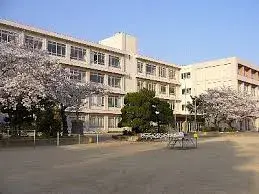 Slide 6