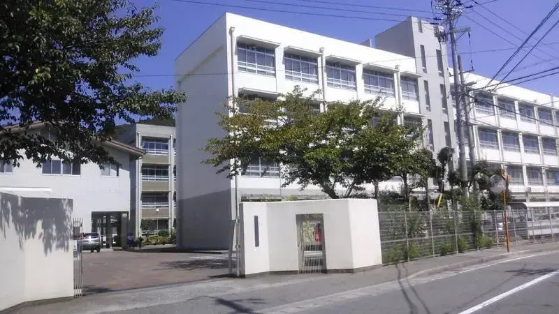 Slide 7