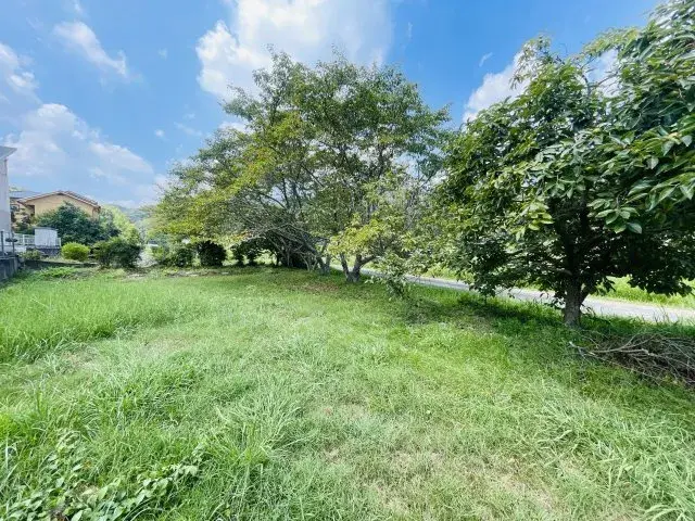 Slide 16