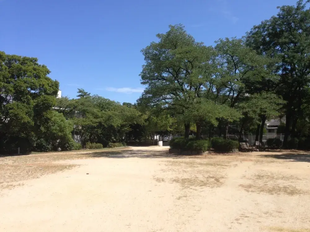 Slide 9