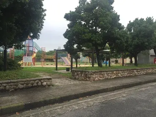Slide 11