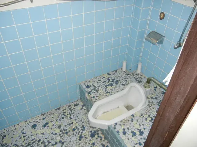 Slide 12
