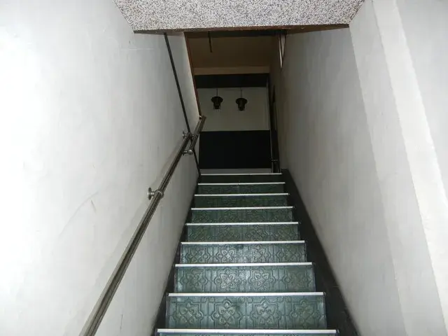 Slide 5