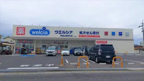 Slide 5