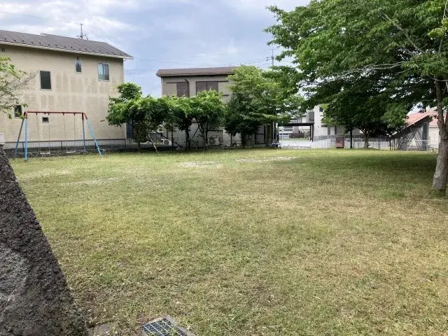Slide 5