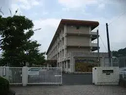Slide 1