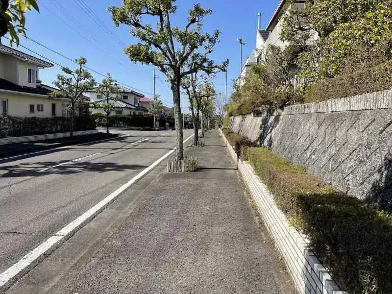 Slide 8