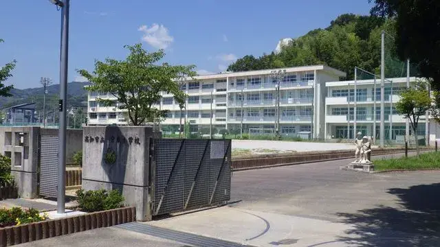 Slide 11