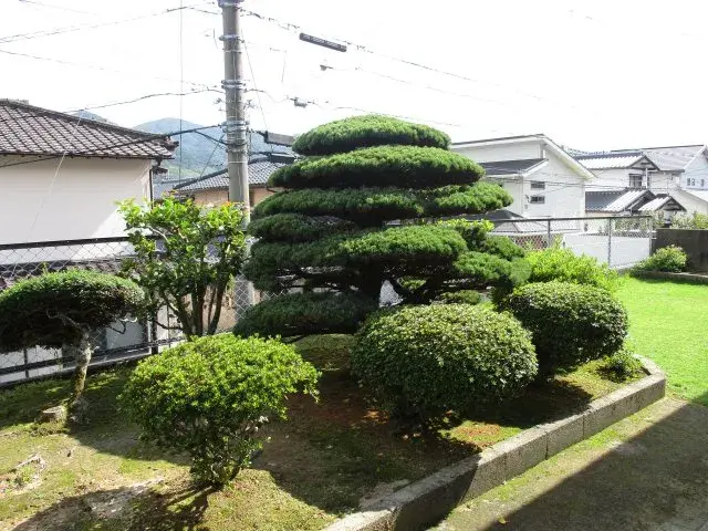Slide 5