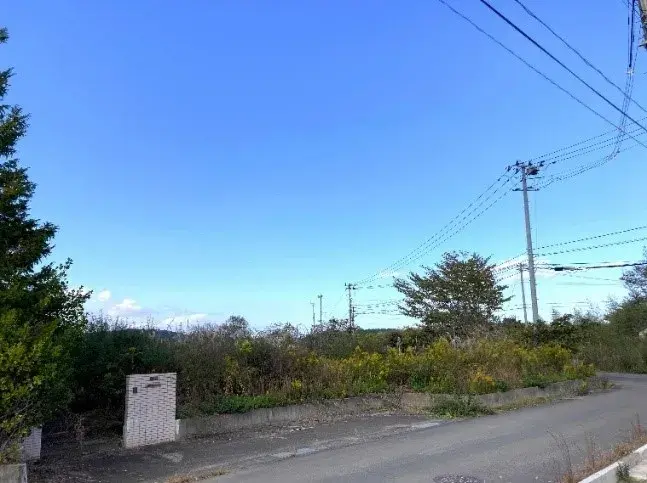 Slide 0
