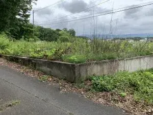Slide 0