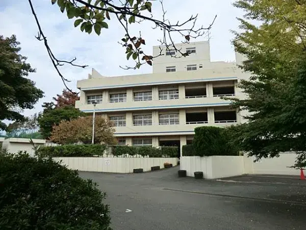 Slide 8