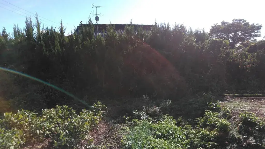 Slide 4