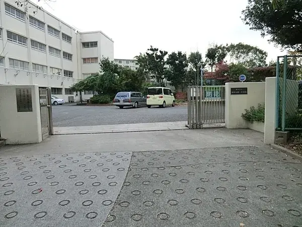 Slide 6