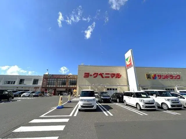 Slide 5