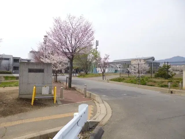 Slide 22