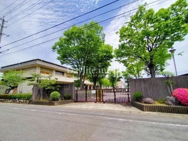 Slide 0