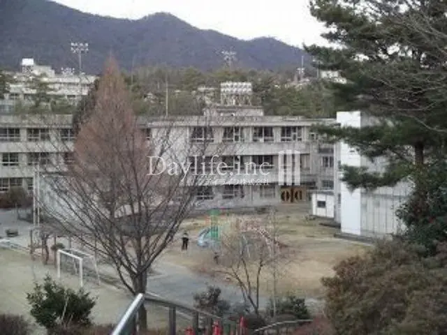 Slide 6