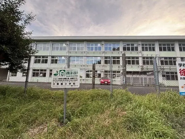 Slide 15