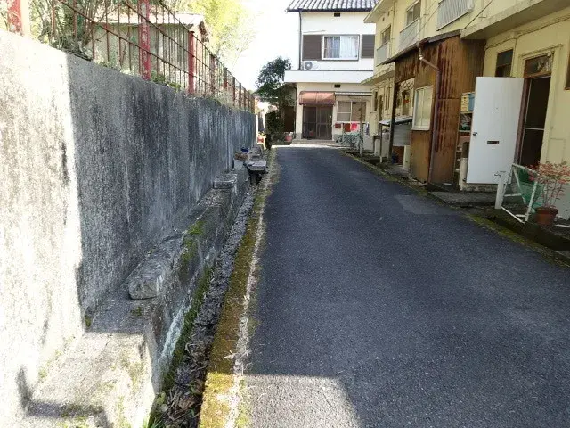 Slide 5